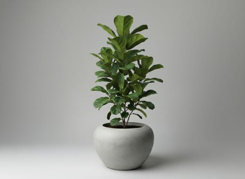 Vasela — concrete planter